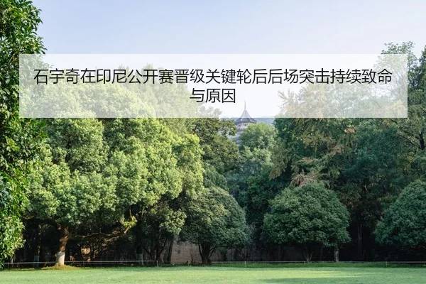 shi-yu-qi-zai-yin-ni-gong-kai-sai-jin-ji-guan-jian-lun-hou-hou-chang-tu-ji-chi-xu-zhi-ming-yu-yuan-yin-2-164.jpg